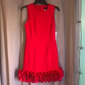 ISABEL & NINA DRESS- never worn